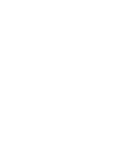 Logo Seguro Trefil